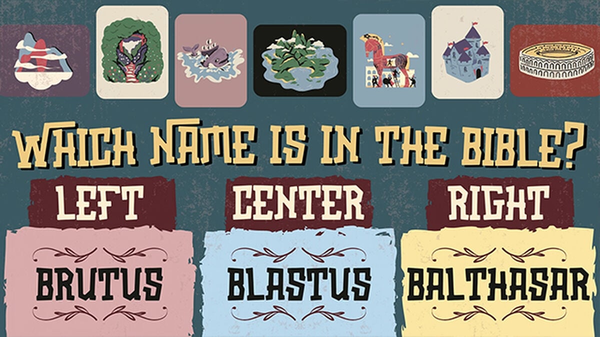 The Name Game image number null